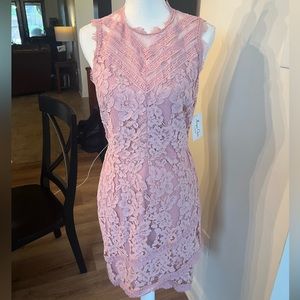 Beautiful Elegant Pink Lace Dress
